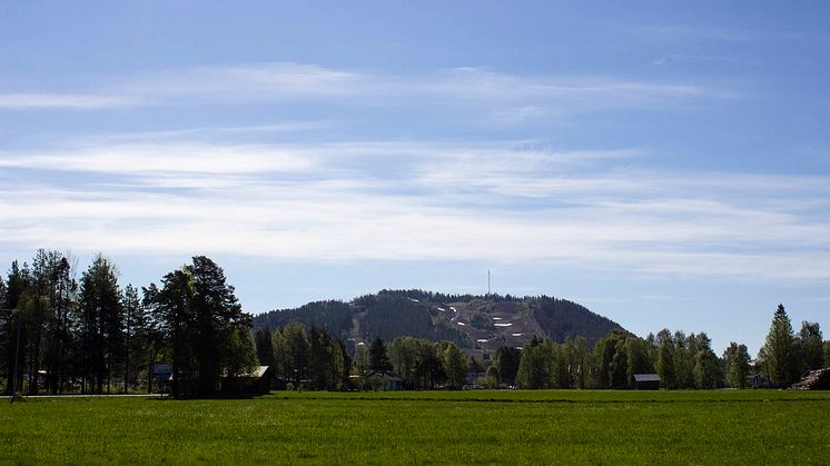 På toppen av Tjamstan erbjuds vidunderlig utsikt. Foto: Anna Israelsson