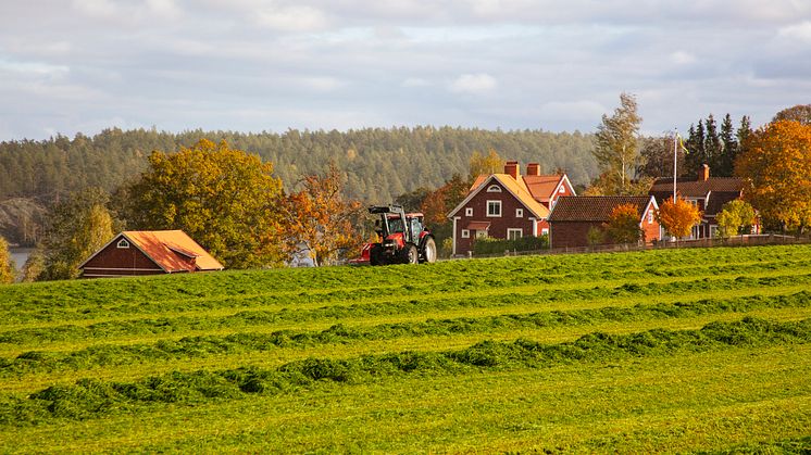Pressinbjudan Hållbarhetsanalysen: Nytt rådgivningsverktyg ska hjälpa lantbrukare att greppa gårdens hållbarhetsarbete