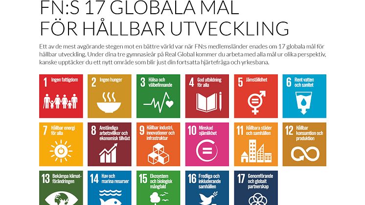 Lärande i Sverige bjuder in elever från årskurs nio i Linköping  till att prova på två nya gymnasieprogram med hållbarhetsfokus 