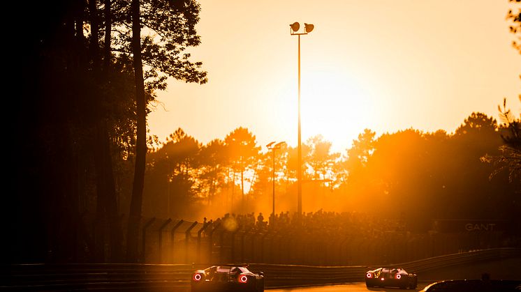 Ford GT in Le Mans