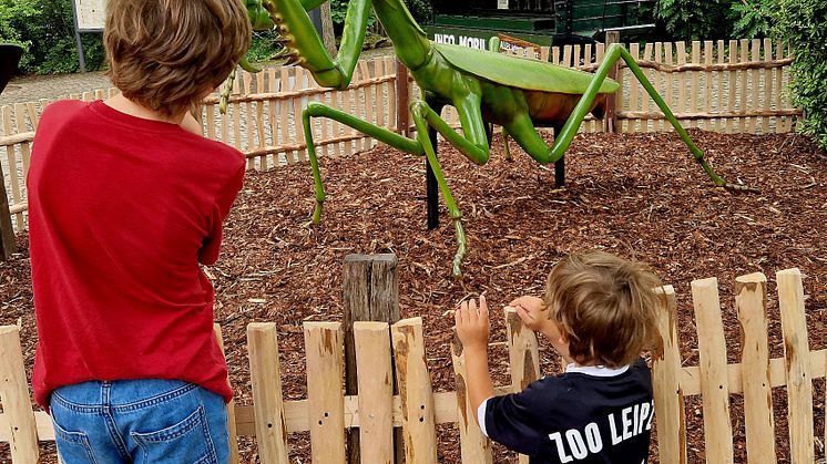 Zoo Leipzig: Sonderausstellung "Winzige Giganten"