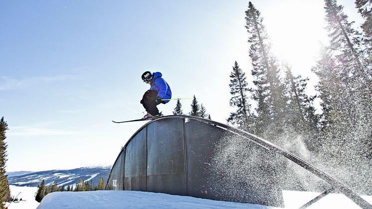 Rail i Åre Snow Park