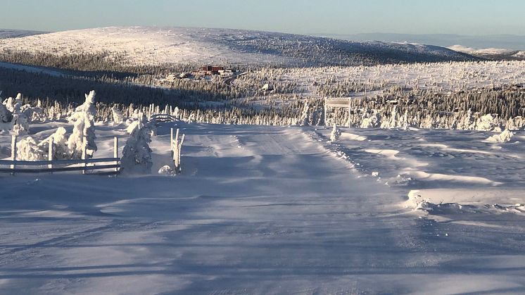 Vintrigt i Sälen, 30 november 2019. Foto: Fredrik Rydén