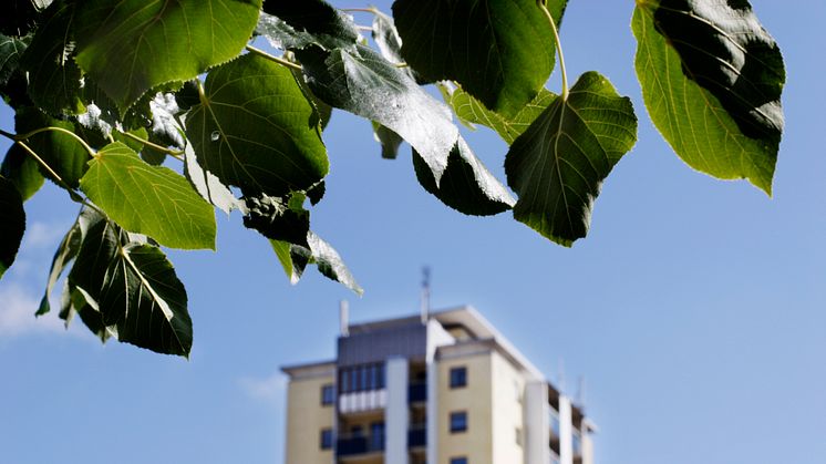 Almedalen: Vilken nytta gör allmännyttan egentligen?