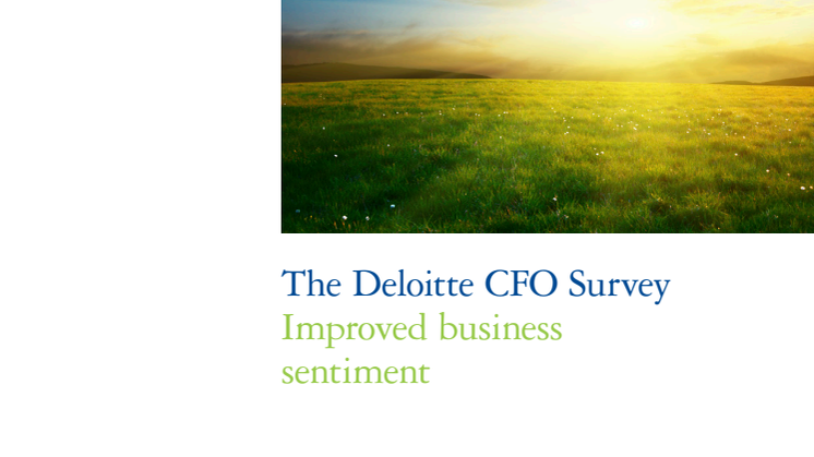 CFO-undersökning 2009