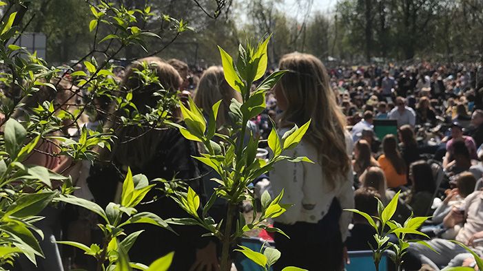 Pressinbjudan: inför valborg i Stadsparken 2024