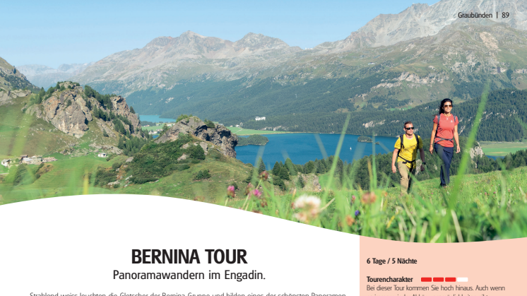Tourenbeschrieb Bernina Tour