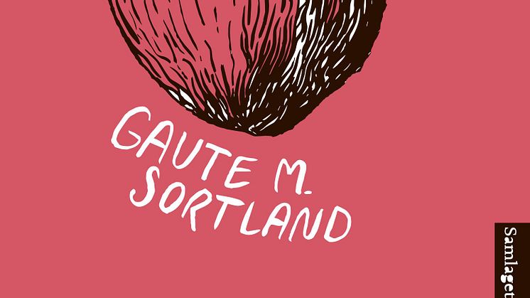 Gaute M. Sortland aktuell med "Korte meisterverk" 