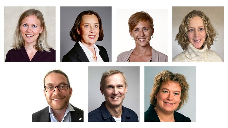 Energikontoren Sveriges styrelse, 2022. Överst från vänster: Malin Strand, Katarina Delsing, Christel Liljegren, Elin Nirjens, Carlos Pettersson, Patrick Dal, Thérèse Hjelseth