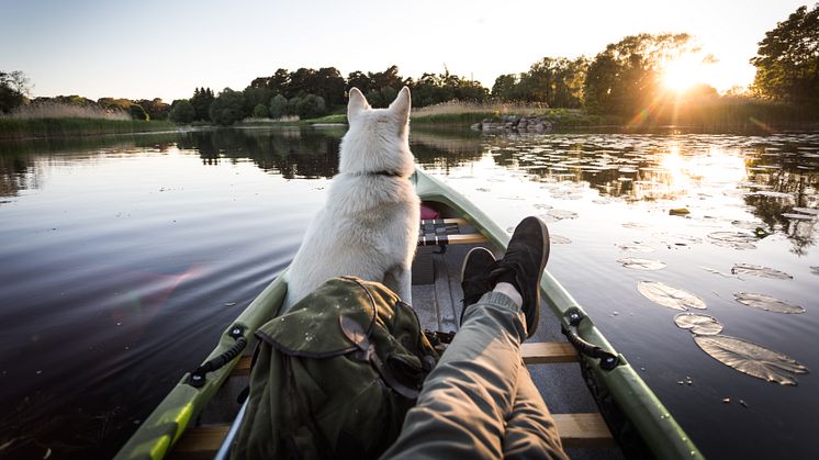 Källa: Doggy AB