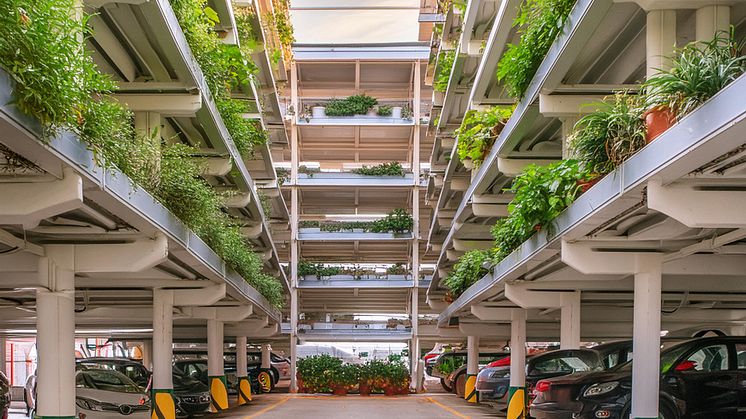 Nytt forskningsprojekt undersöker framtidens urbana odlingar i parkeringshus