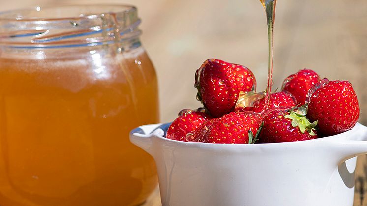 Enkelt och gott är att ringla honung över jordgubbarna till midsommar. Servera dem rumsvarma tillsammans med skorpor eller några goda småkakor. Fotograf: Mia Karlsvärd