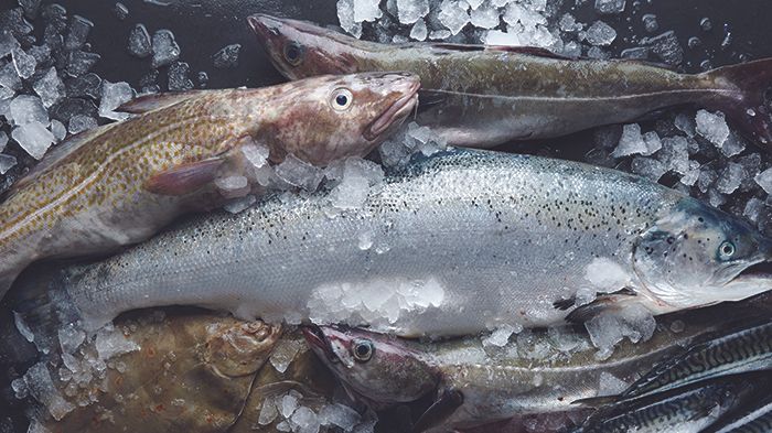 Våra möjligheter att påverka framtidens fiske är många