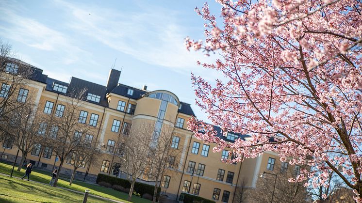 Antalet antagna till årets sommarkurser vid Högskolan i Skövde har ökat med 83 procent, jämfört med 2019. Foto: Högskolan i Skövde