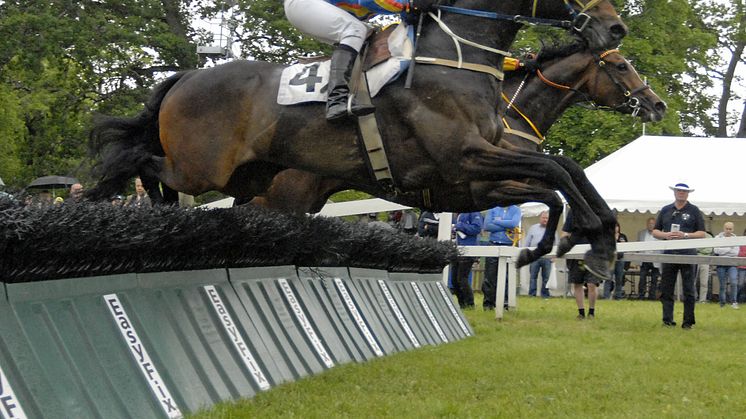 Söndag: Svenskt Grand National på Strömsholm