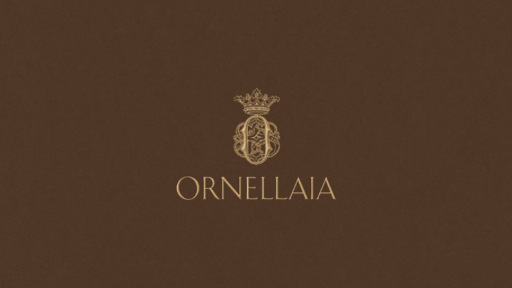 Orneallaia Corporate Broschyr