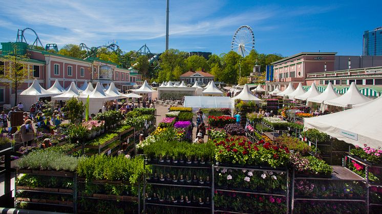 17-20 maj öppnar Lisebergs trädgårdsdagar där Elmia Garden Trends 2018 gör entré