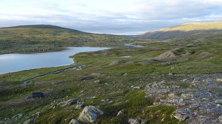 Forenede Care är glada för ett fortsatt förtroende och samarbete med Östersunds kommun.