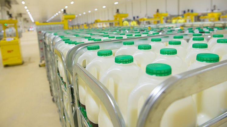 Arla Foods starts up world's largest fresh milk dairy
