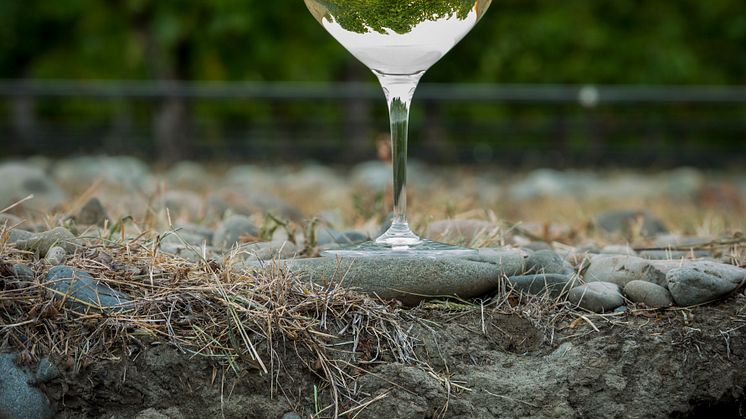 Stoneleigh lanserar senaste årgångarna av single vineyard vinerna från Rapaura – elegant kvalitet från Nya Zeeland