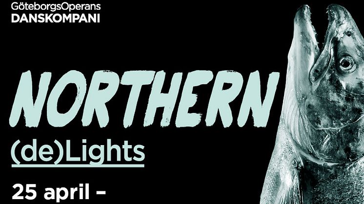 Northern (de)Lights – stor dans i litet format