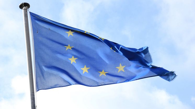 Europeisk flagga