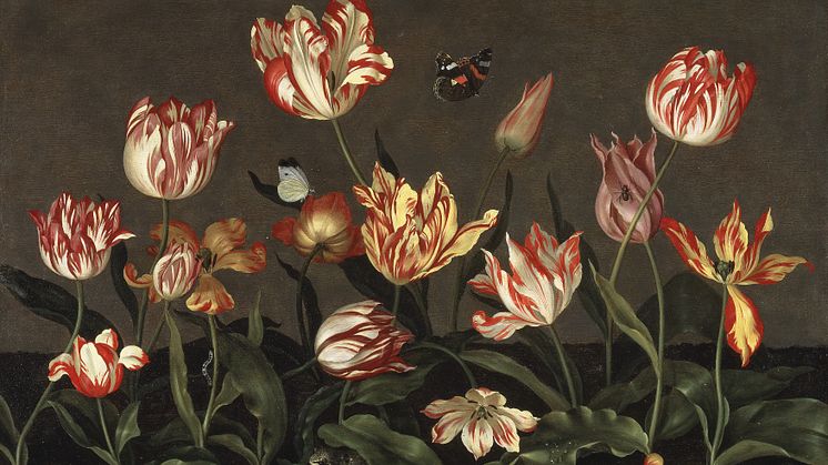 Foto: Still Life with Tulips. Nationalmuseum