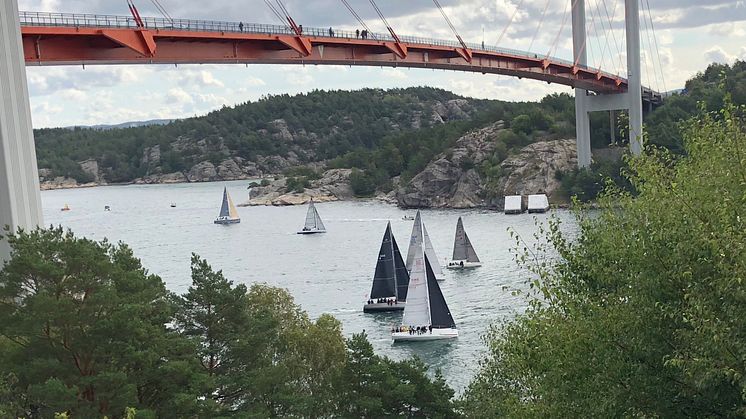 Starten på Tjörn Runt by COWI bjuder på en fantastisk upplevelse. Foto Carin Kling