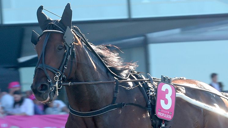 Propulsion startar i Elitloppet 31 maj. Foto: TR Bild