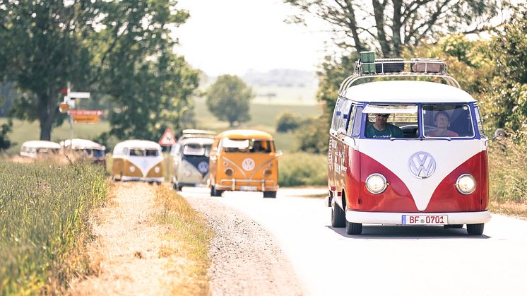 Zum zehnten Mal findet das Midsummer Bulli Festival in diesem Jahr auf Fehmarn statt © Thomas Burblies