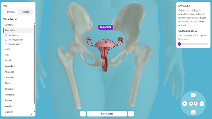 Skärmdump från 3d-visualiseringen Visual Vulva