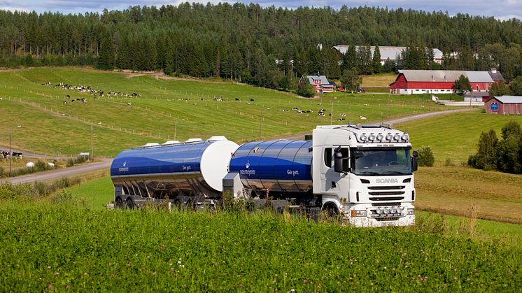 Norrmejerier höjer betalningen för mjölken till de norrländska mjölkbönderna från 1 juli. Foto: Jan Lindmark.