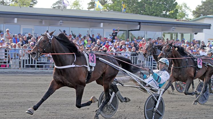 Hail Mary och Örjan Kihlström – åttonde ekipage som är klart för Åbergs. Foto: Tom Jönehag.