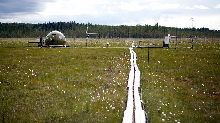 Ekosystemstationen på Degerö Stormyr i Vindeln. Foto: Jenny Svennås-Gillner, SLU.