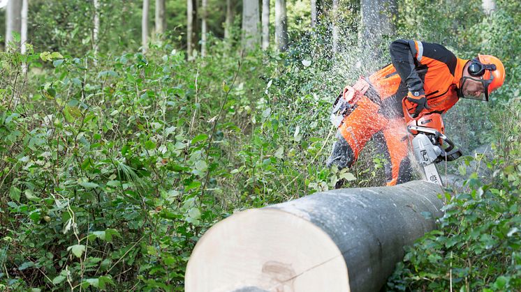 Generellt kan sägas, liten lättanvänd motorsåg till dig som gör mindre jobb och en kraftfull maskin till dig som dagligen jobbar med trädfällning. 