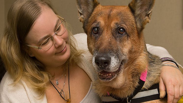 Årets sociala tjänstehund Citrine tillsammans med matte Sofia Björklund.