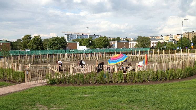 Hyllieranka runt Malmös nya badhus