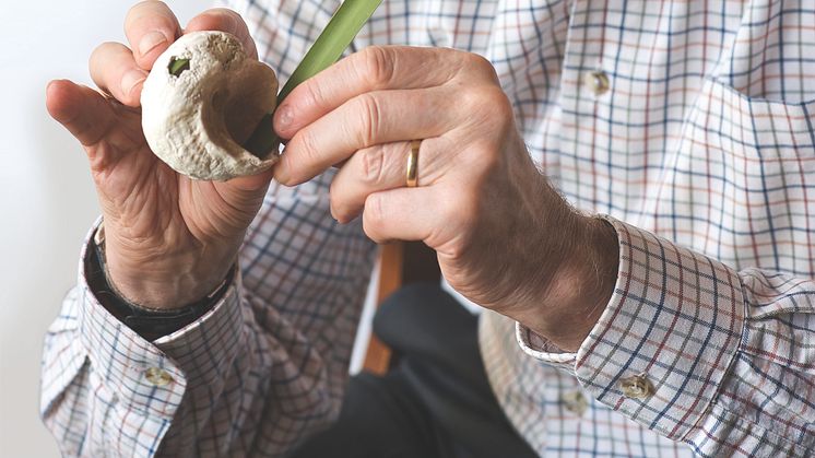 Ehrung für Pionier des Mehrkanal-Cochlea-Implantats: Professor Graeme Clark erhält Medaille des Institute of Electrical and Electronics Engineers (IEEE), Foto: Cochlear Ltd.