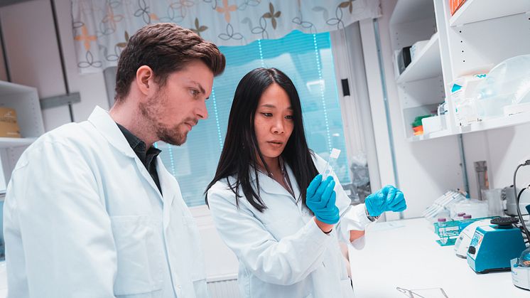 Forskare vid Linköpings universitet, däribland Riccardo Barchiesi och Estelle Barbier, har upptäckt en biologisk mekanism som gör att skrämmande minnen lagras in starkare i vissa hjärnor. Foto: Anna Nilsen/Linköpings universitet