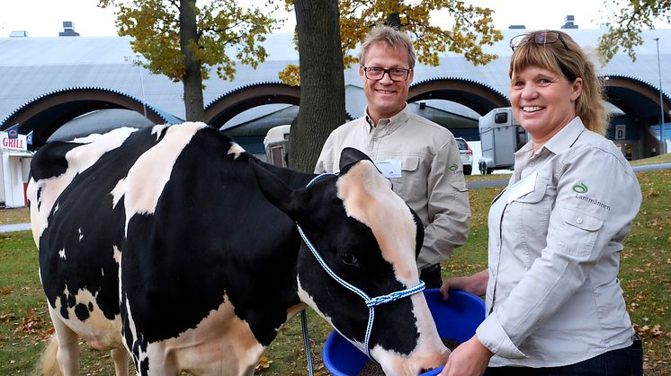 Lyckat byte till nytt Nötfor