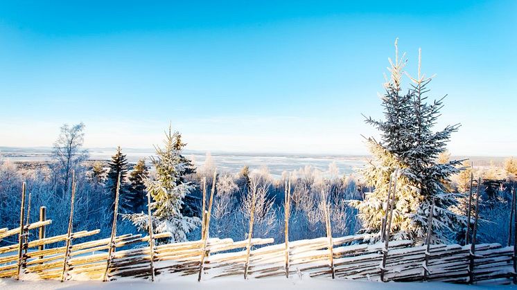 Syntolkning: snötäckt vinterlandskap i Dalarna