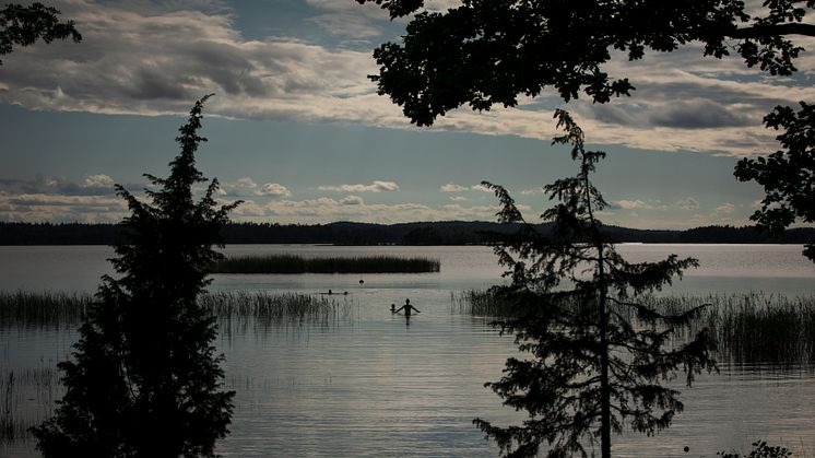 Kvällsdopp i Åsnen