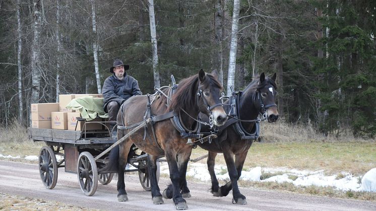 Foror på väg - från Leksand till Ericsson Globe och Stockholm International Horse Show