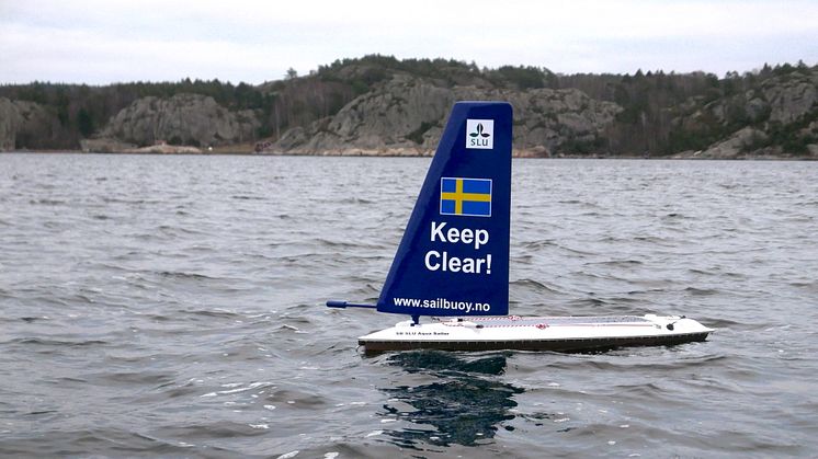 SLU Aqua Sailor är en obemannad seglande drönare som kan användas för datainsamling för forskning och miljöövervakning . Foto: Jonas Hentati-Sundberg