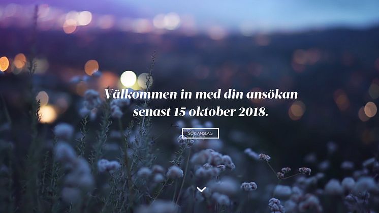 LBF forskningsstiftelse - ansök innan 15 oktober