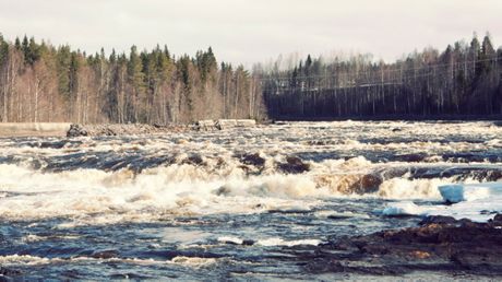 Vattenkraften måste bli miljövänligare