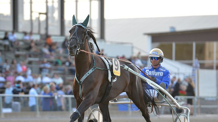 Your Highness inbjuden till Elitloppet