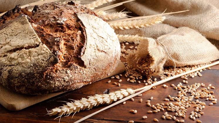 Debattartikel:  Brödets nytta för klimatet glöms bort