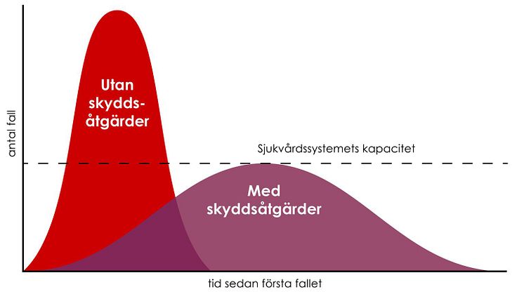 MSB genomför stor informationssatsning för att plana ut smittspridningen av coronaviruset