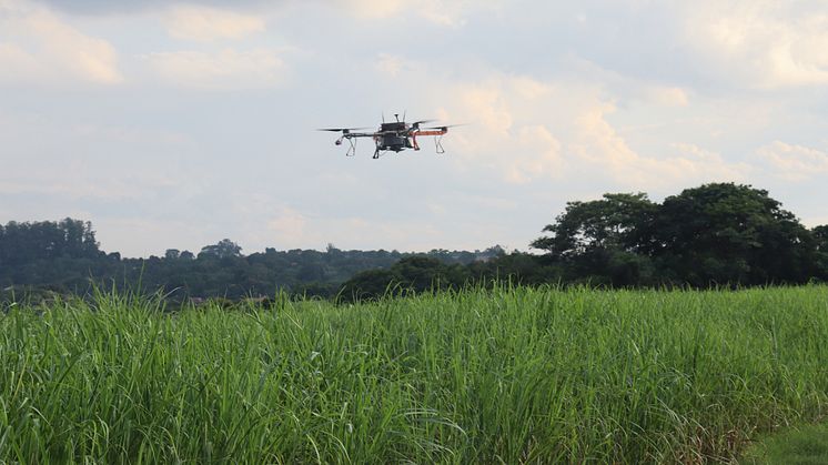 ARPAC drone spraying pesticides on sugar cane fields